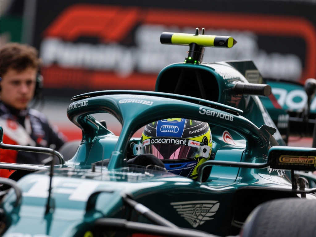 致力于强化 致力于强化